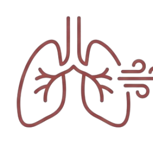 icon2-removebg-preview